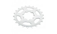 Pignon MICHE Campagnolo...