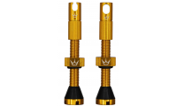 2 Valves Peaty’s MK2 Chris...